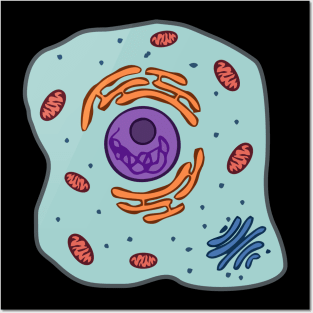 Animal cell Posters and Art